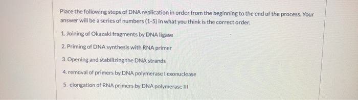 Solved Place the following steps of DNA replication in order | Chegg.com