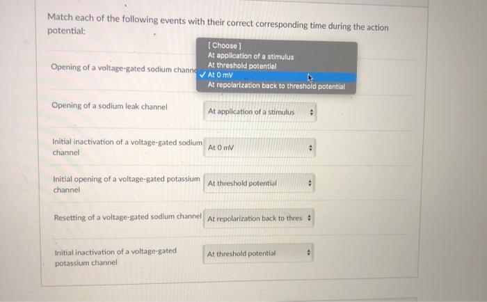 Solved Match each of the following events with their correct | Chegg.com