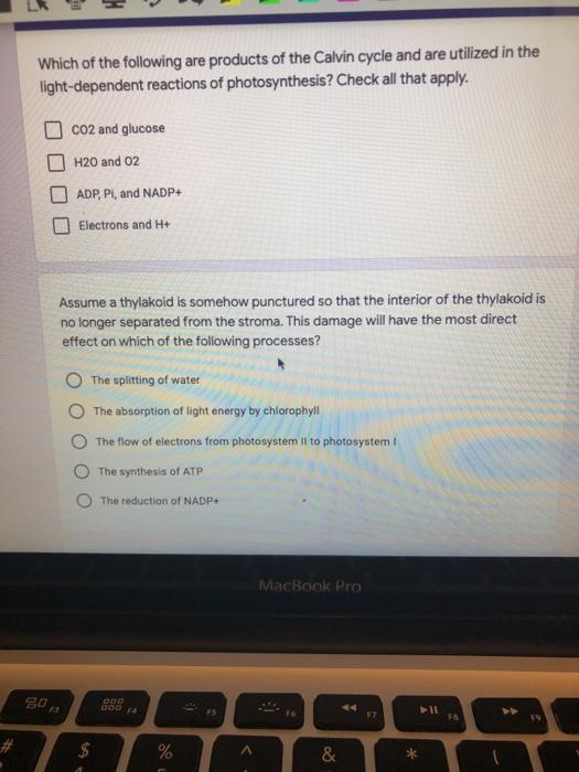 Solved Which Of The Following Are Products Of The Calvin