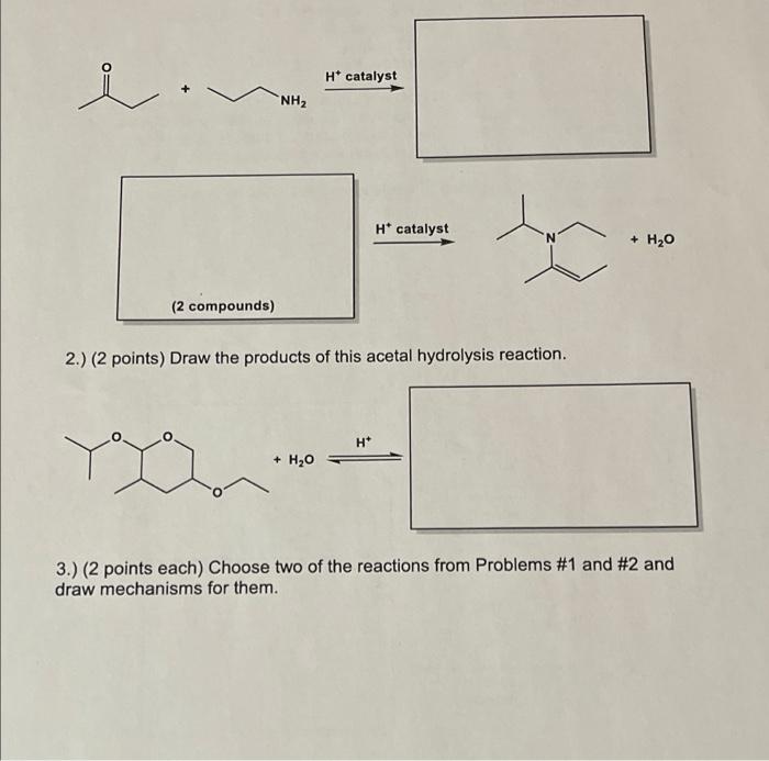 Solved H* catalyst NH2 H* catalyst + H2O (2 compounds) 2.) | Chegg.com