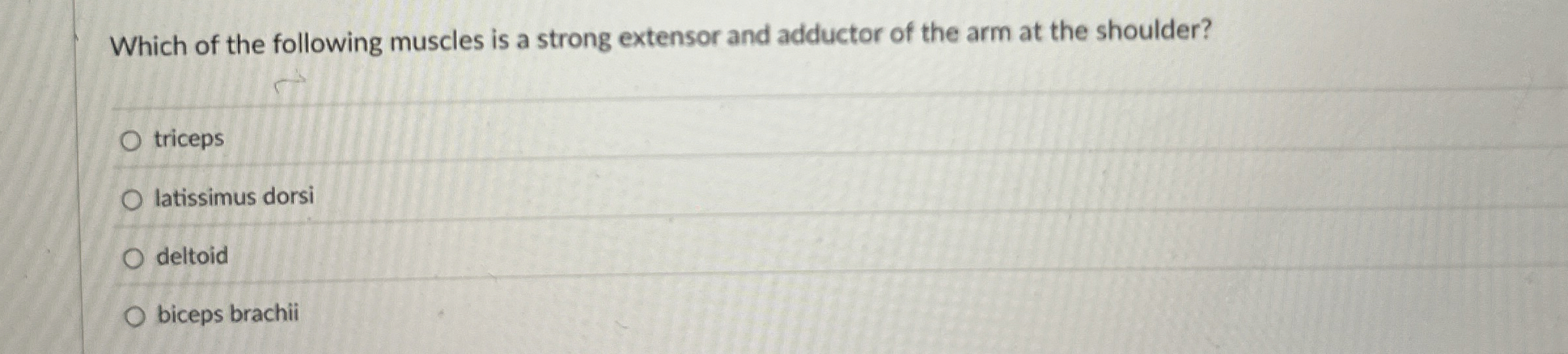 Solved Which of the following muscles is a strong extensor | Chegg.com