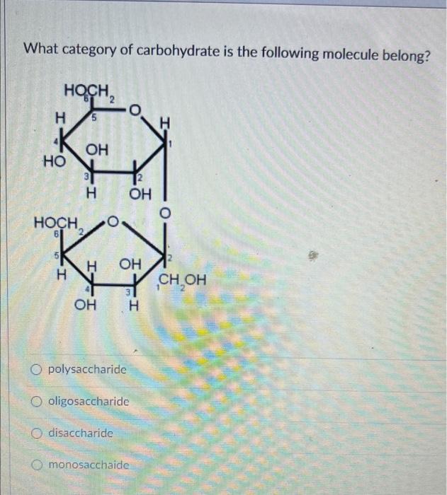 which of the following is a complex carbohydrate or polysaccharide