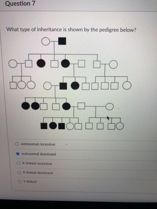 Solved Question 7 What type of inheritance is shown by the | Chegg.com