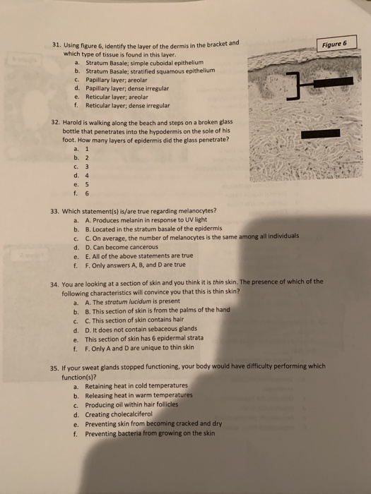 solved-a-36-which-of-the-following-is-are-function-s-of-chegg