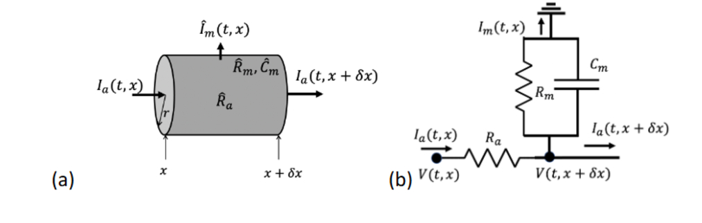 [Solved]: a delta x and radius r. Here we define I_(a)(t,x)