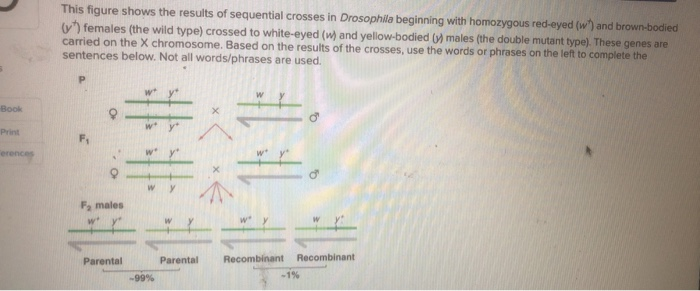Solved This figure shows the results of sequential crosses | Chegg.com
