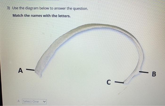Solved Use the diagram below to answer the question. Match | Chegg.com