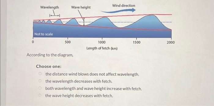 Solved 0 Wavelength Not to scale 500 Choose one Wave Chegg