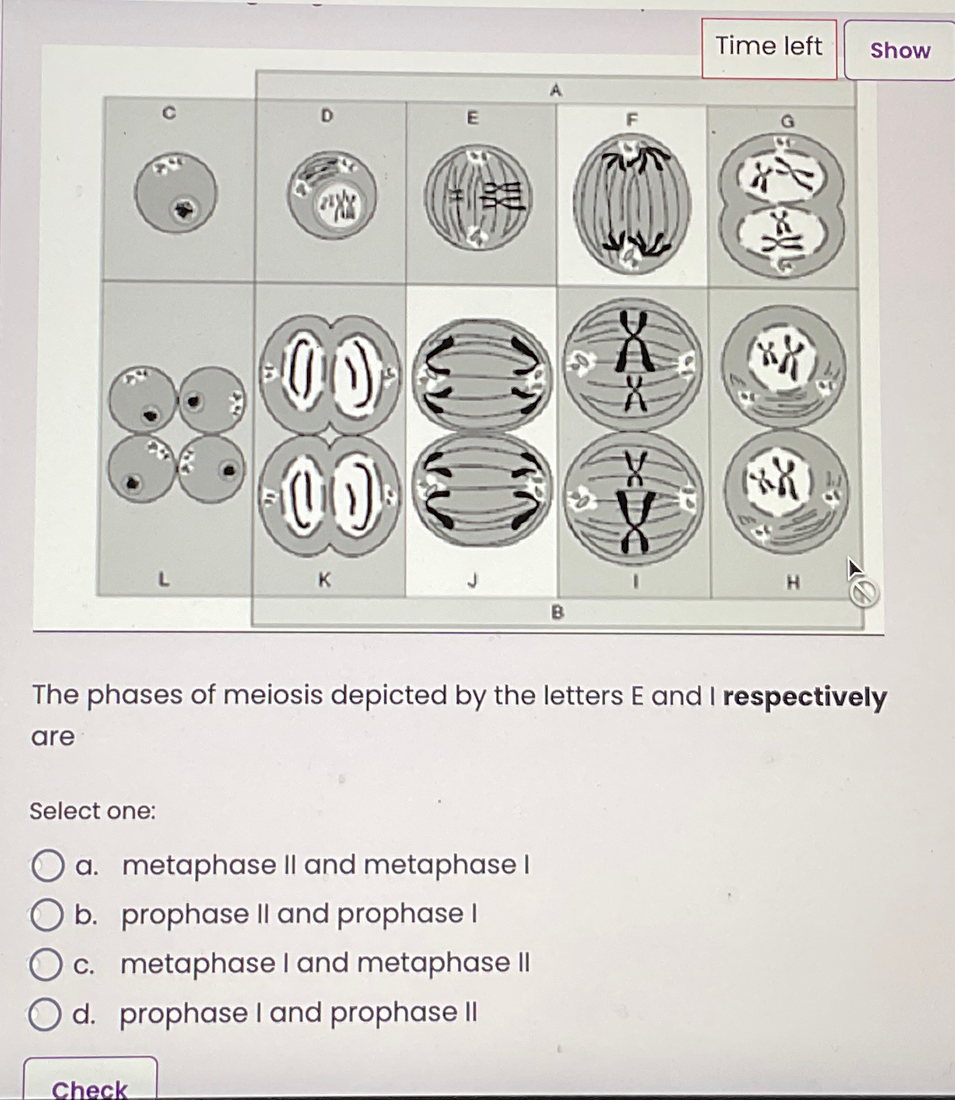 Solved Time leftShowThe phases of meiosis depicted by the | Chegg.com