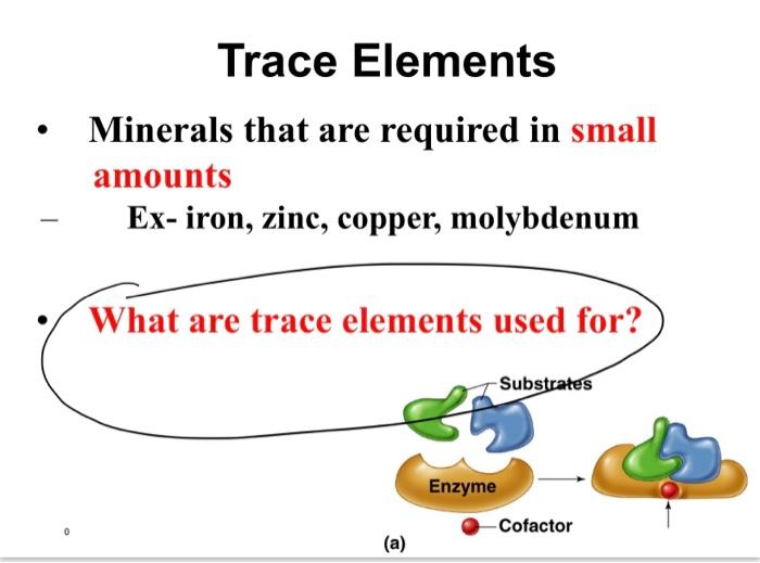 Trace Elements
- Minerals that are required in small amounts
- Ex-iron, zinc, copper, molybdenum