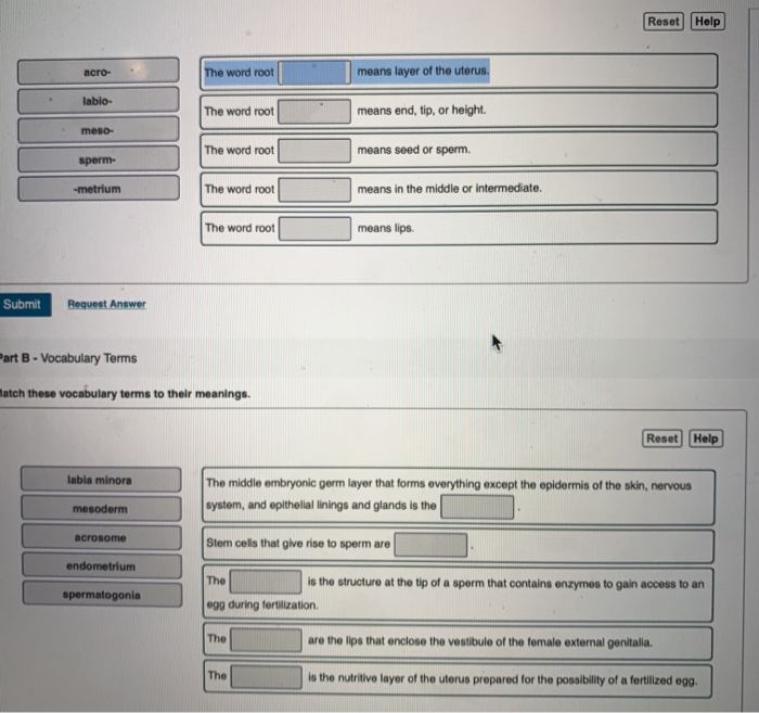 solved-reset-help-acro-the-word-root-means-layer-of-the-chegg