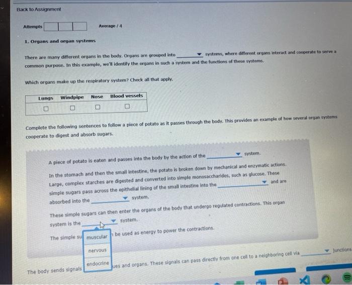 Solved Back To Assignment Attempts Average   4 1. Organs And 