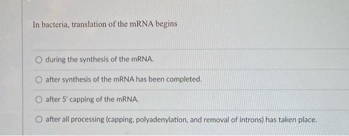 Solved In bacteria, translation of the mRNA begins O during | Chegg.com