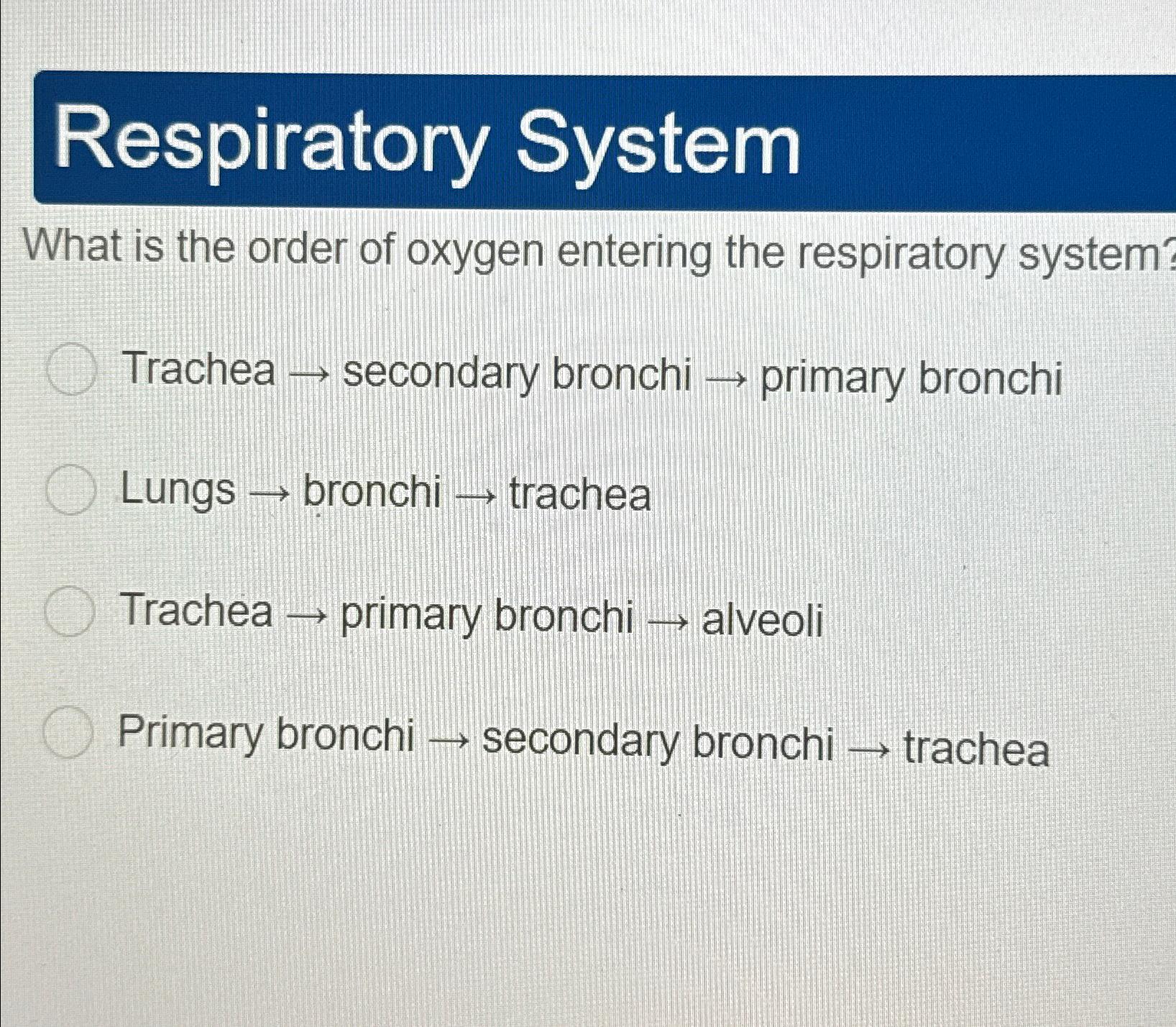 Solved Respiratory SystemWhat is the order of oxygen | Chegg.com