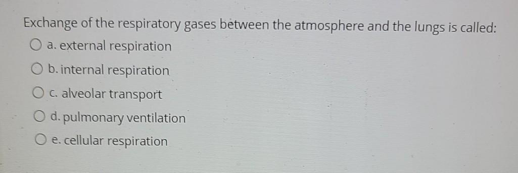 the exchange of gases in the lungs is called respiration