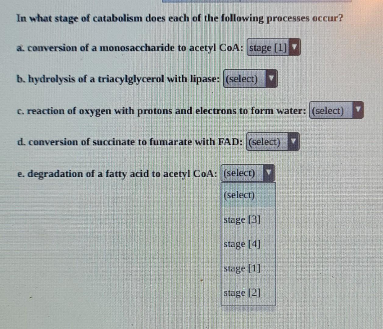 Solved In what stage of catabolism does each of the | Chegg.com