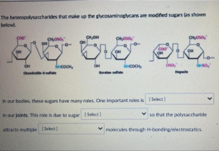 Solved The Heteropolysaccharides That Make Up The | Chegg.com