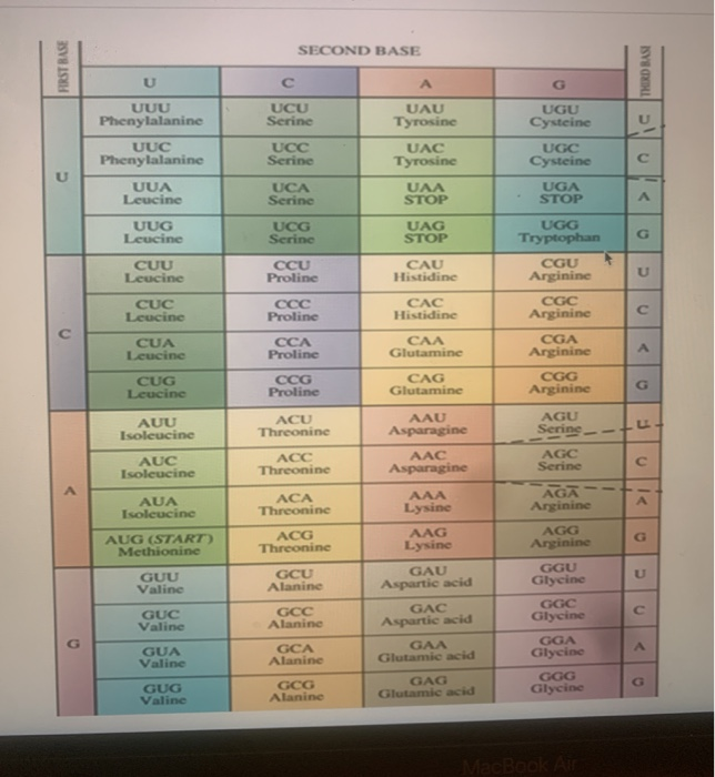 Solved For the following mRNA sequence choose the sequence