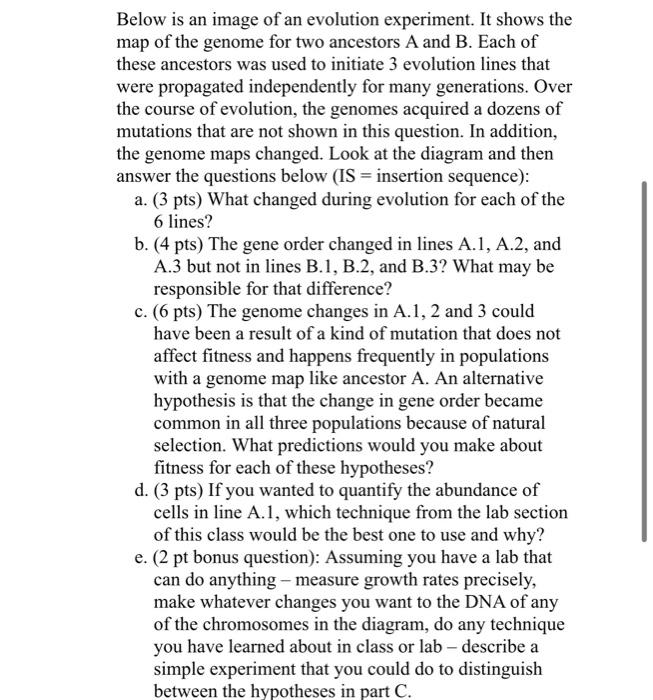 6-below-is-an-image-of-an-evolution-experiment-it-chegg