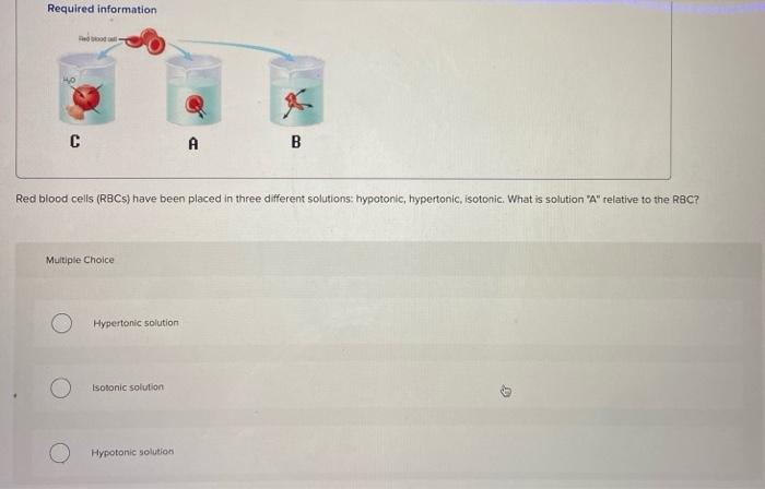 Solved ep SUM Required information 10 С A B Red blood cells | Chegg.com