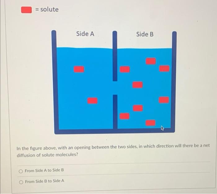 Solved = Solute Side A Side B In The Figure Above, With An | Chegg.com