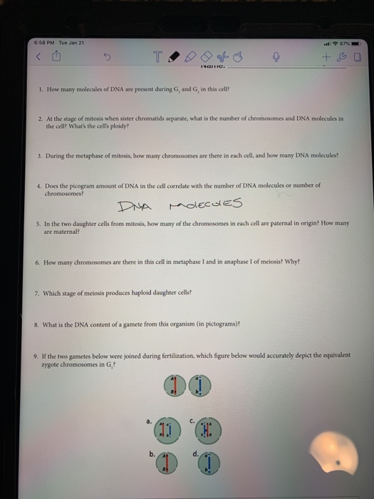Recombinant dna activity worksheet answer key image