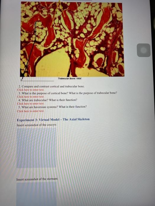 Solved Post-Lab Questions 1. Label the arrows in the | Chegg.com