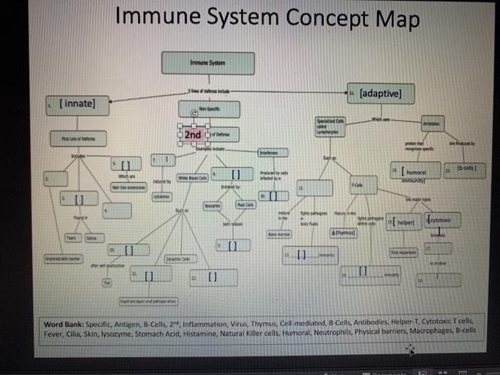 Immune System Concept Map Inmune System (adaptive] [innate) ook c Spec 2nd - U (humoral TI TO Sy [helper [tool Athymus 11 DO