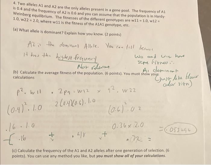 Solved 4. Two alleles A1 and A2 are the only alleles present