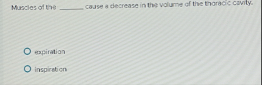 Solved Muscles of the ?????? ﻿cause a decrease in the volume | Chegg.com