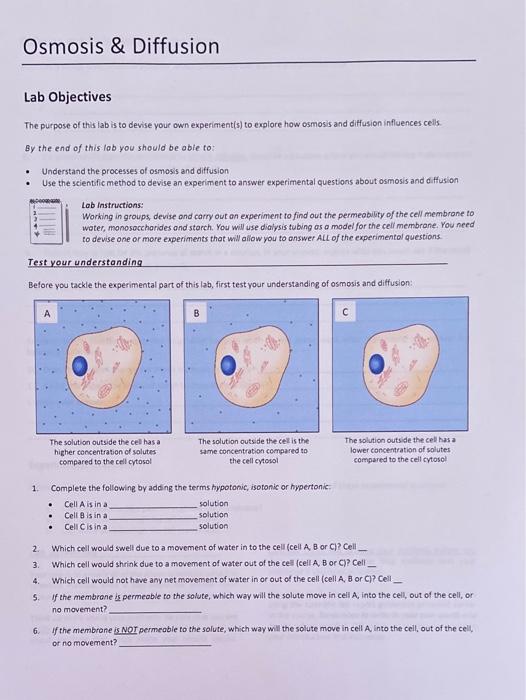 Solved Osmosis & Diffusion Lab Objectives The purpose of