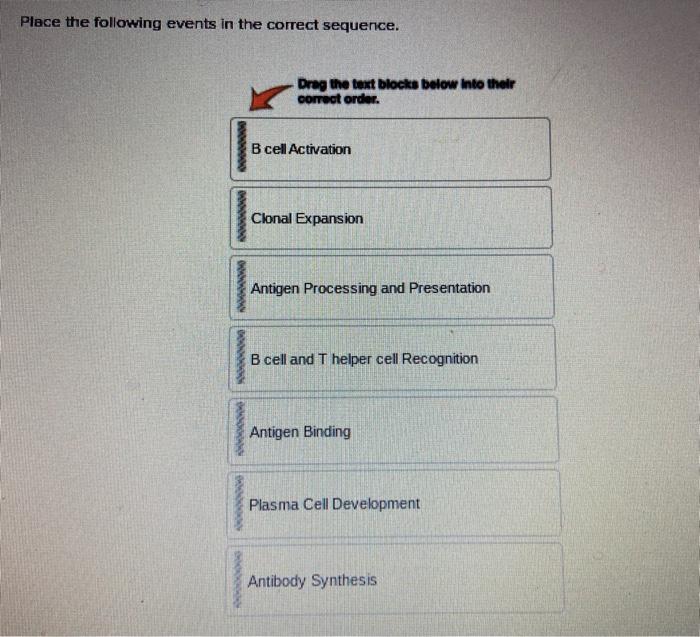 Solved Place The Following Events In The Correct Sequence. | Chegg.com