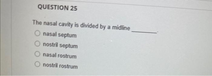 Solved The nasal cavity is divided by a midline nasal septum | Chegg.com