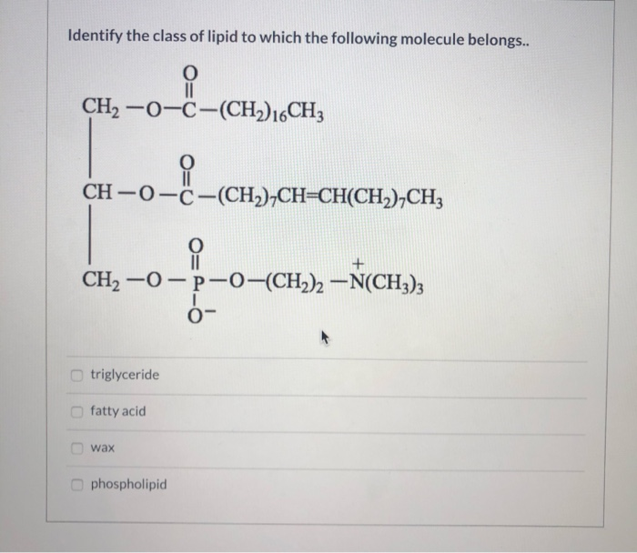 Solved Question 3 5 pts Identify the class of lipid to which | Chegg.com