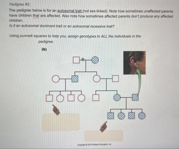 Pedigree \#1: The pedigree below is for an autosomal | Chegg.com