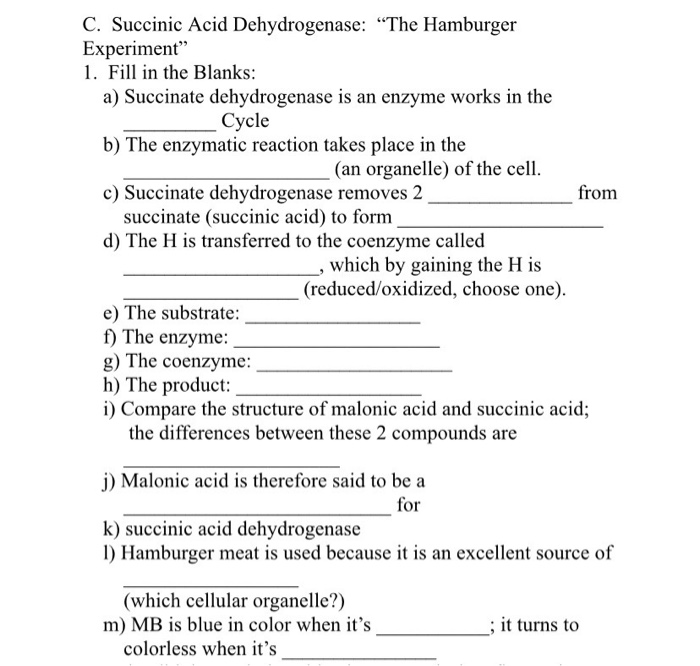 succinic acid dehydrogenase experiment