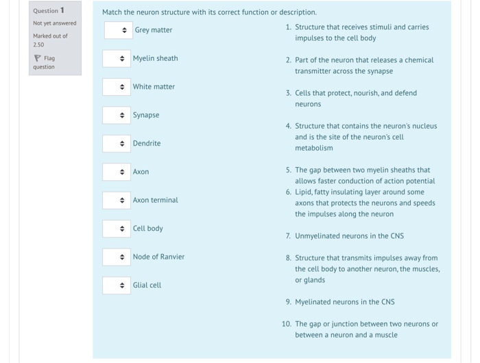 Solved Hello, I need the solution/answer to these 5 Multiple | Chegg.com