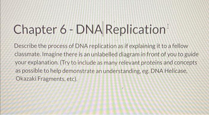 Solved Chapter 6 - DNA Replication Describe the process of | Chegg.com