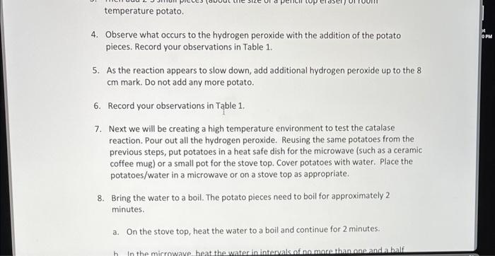 catalase experiment data answers