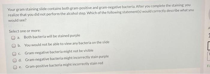 Solved Your gram staining slide contains both gram-positive | Chegg.com