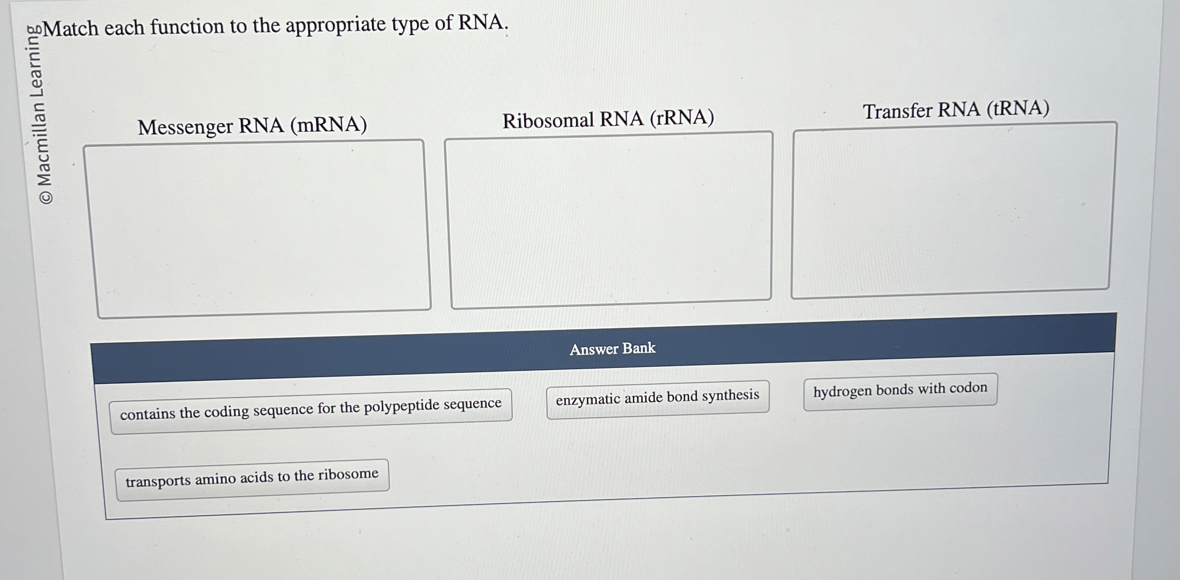 Solved 告Meccenger RNA (mRNA)Ribosomal RNA (rRNA)Transfer RNA | Chegg.com