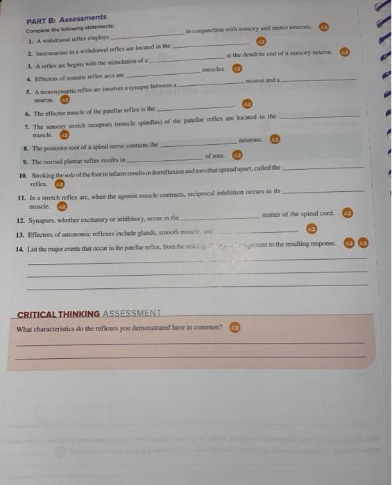 Solved Reflex Arc and Somatic Reflexes PART A Assessments