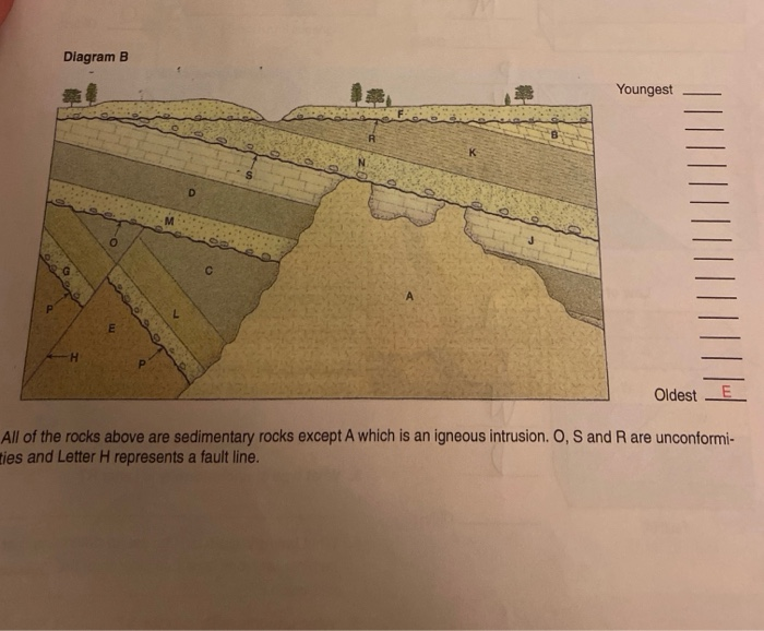 Solved Diagram B Youngest Oldest All of the rocks above are | Chegg.com