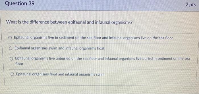 Solved Question 39 2 pts What is the difference between | Chegg.com