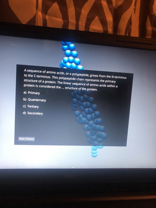 Solved A sequence of amino acids, or a polypeptide, grows | Chegg.com