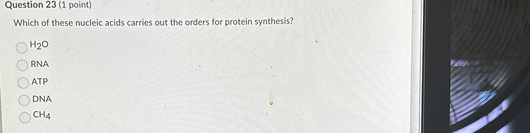 Solved Question 23 (1 ﻿point)Which of these nucleic acids