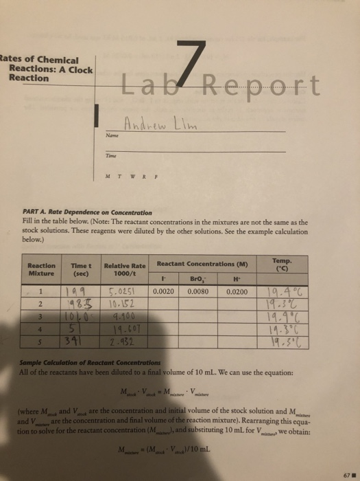 lab rate of chemical reactions assignment lab report