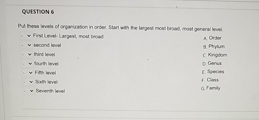 Solved QUESTION 6 Put these levels of organization in order. | Chegg.com