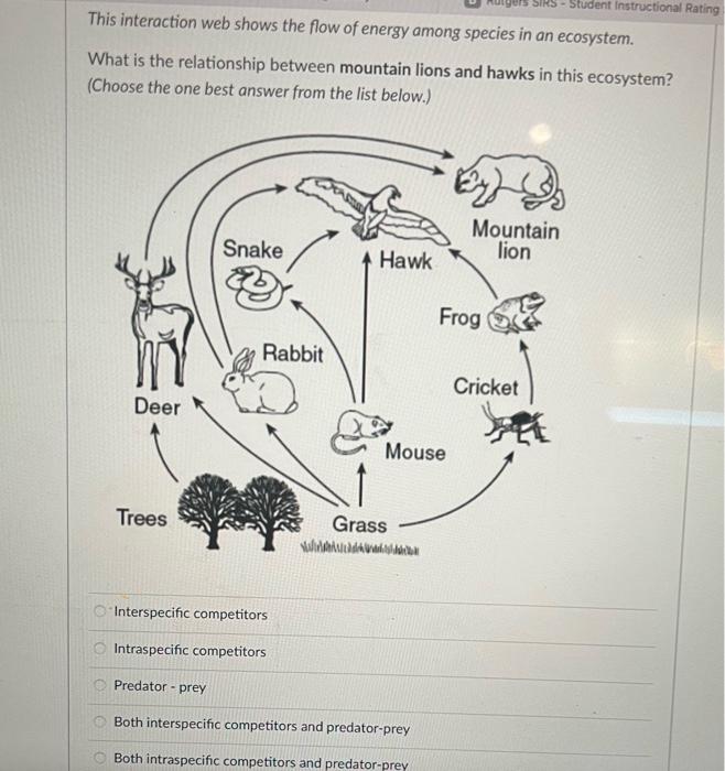 Solved This interaction web shows the flow of energy among Chegg