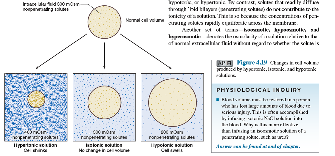 Solved What Will Happen To Cell Volume If A Cell Is Placed In Eac Chegg Com